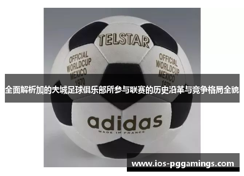 全面解析加的夫城足球俱乐部所参与联赛的历史沿革与竞争格局全貌