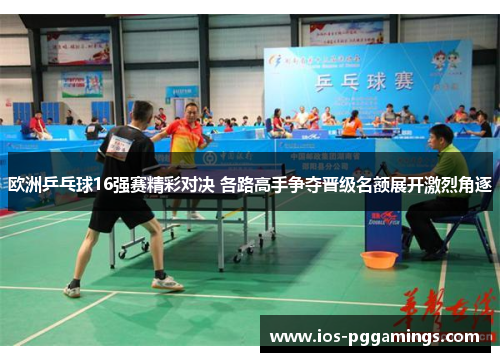 欧洲乒乓球16强赛精彩对决 各路高手争夺晋级名额展开激烈角逐